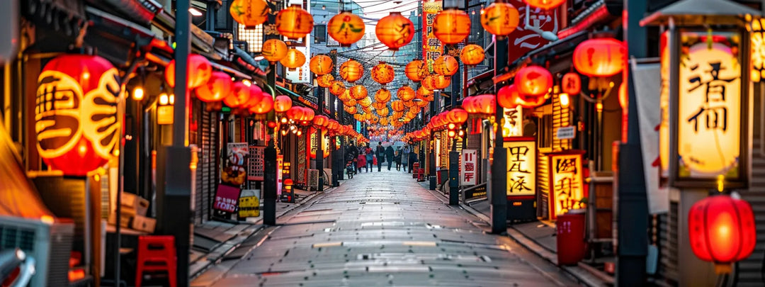 Smart Traveling in Japan: Comprehensive Tips for Any Traveller